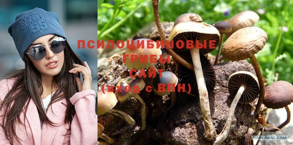первитин Белоозёрский